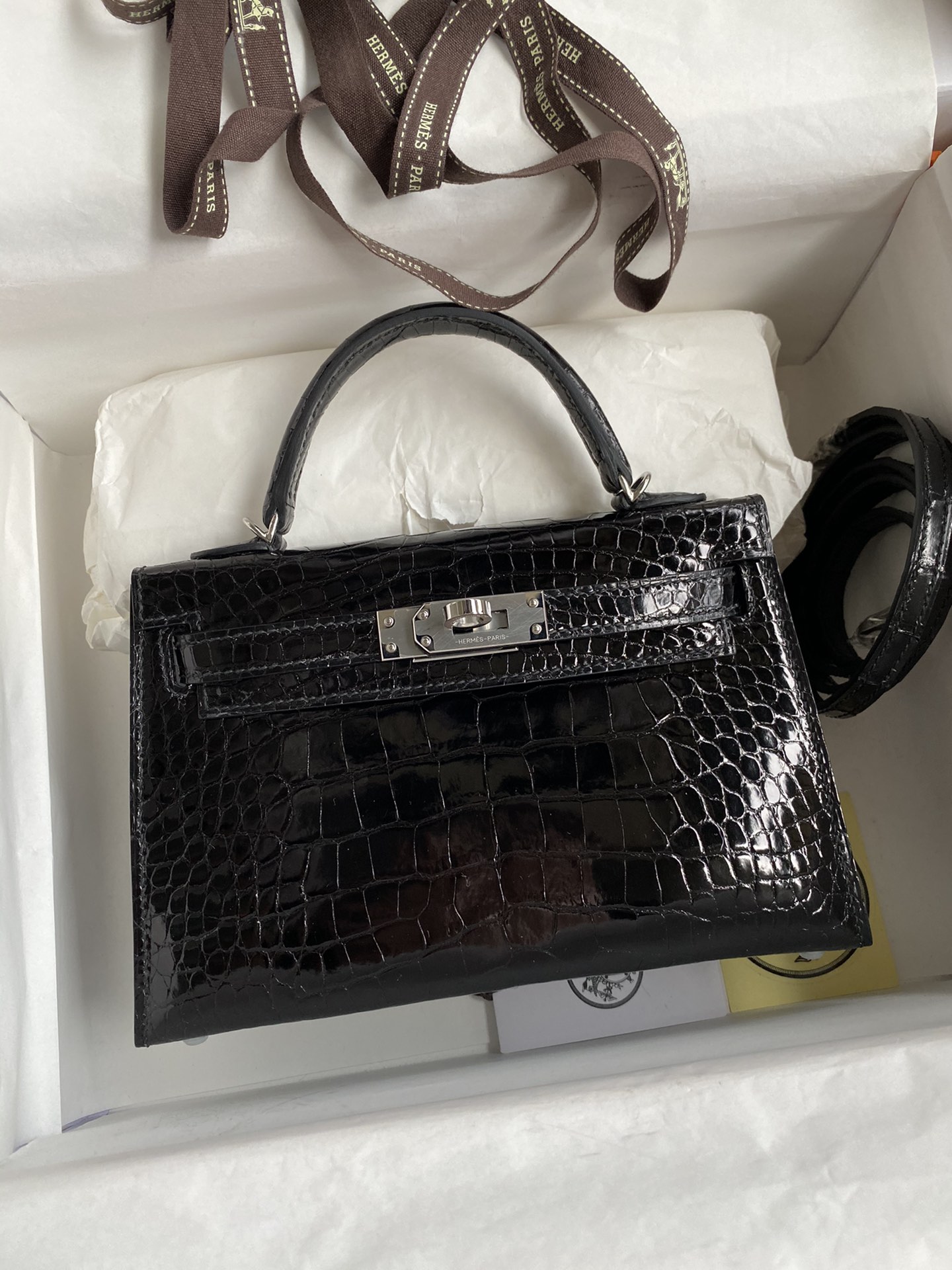 Kelly mini