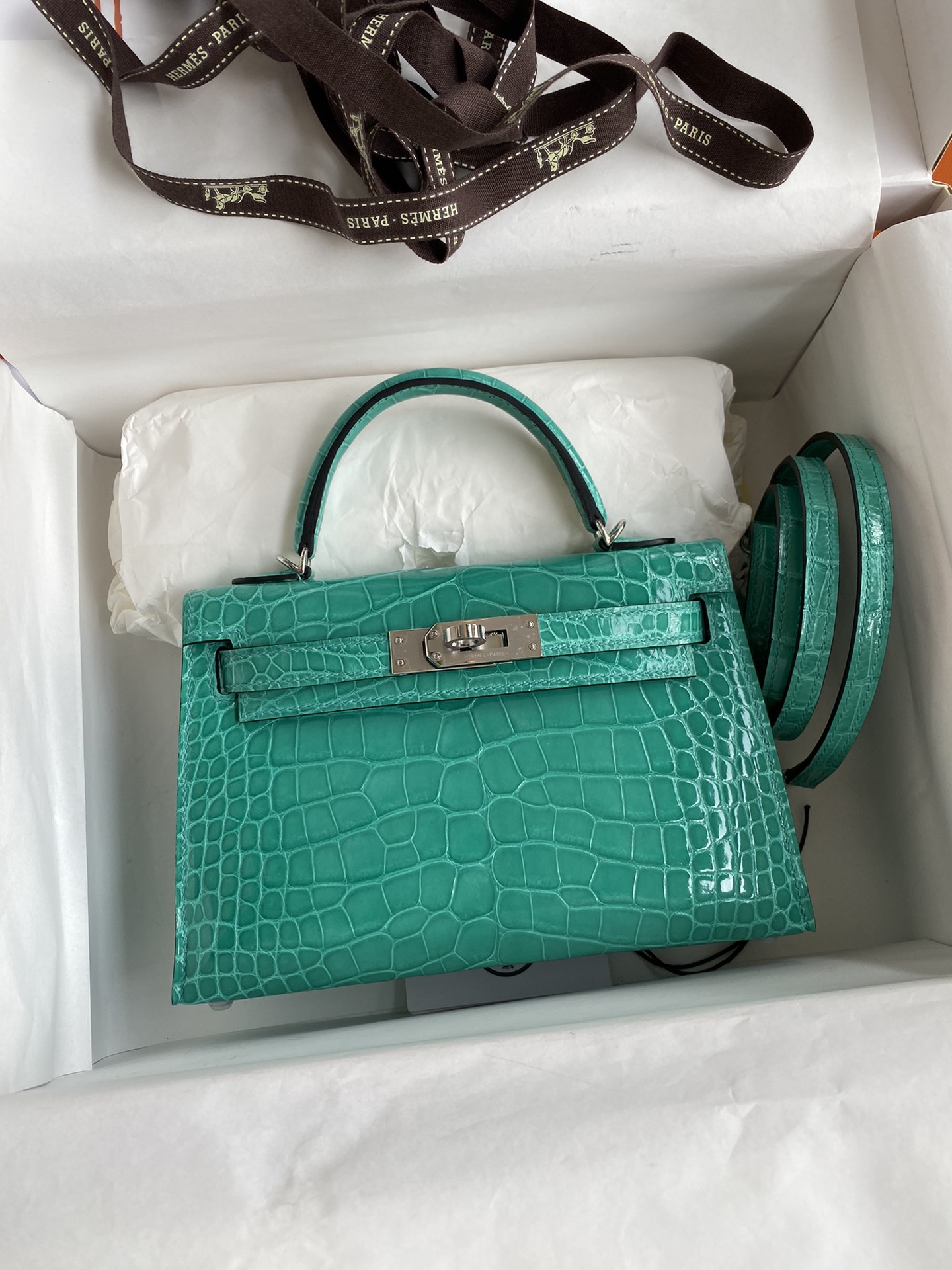 Kelly mini